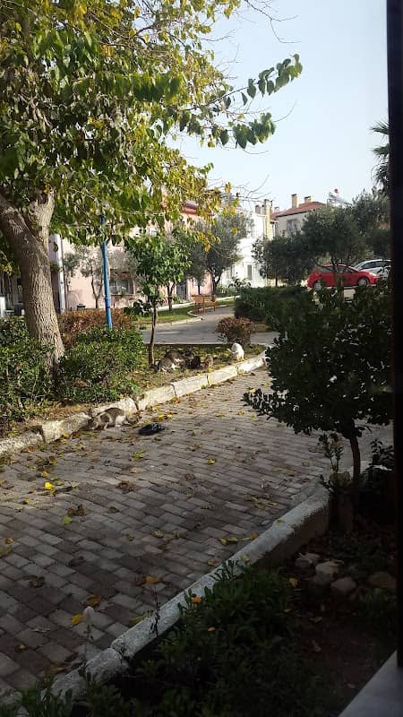 Friendship Park - Image 2