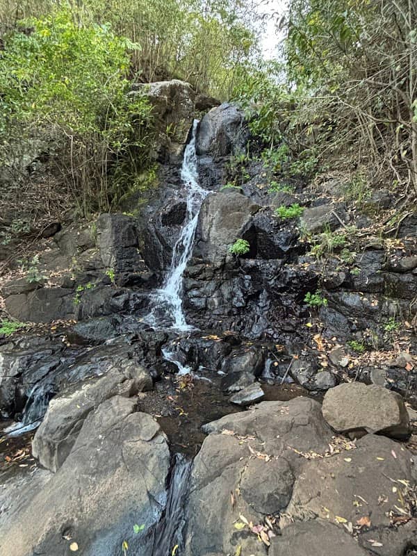 Highfields Falls - Image 1