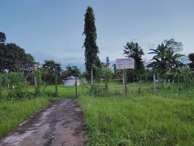 Children's Park, Senior D+ Area - Image 1