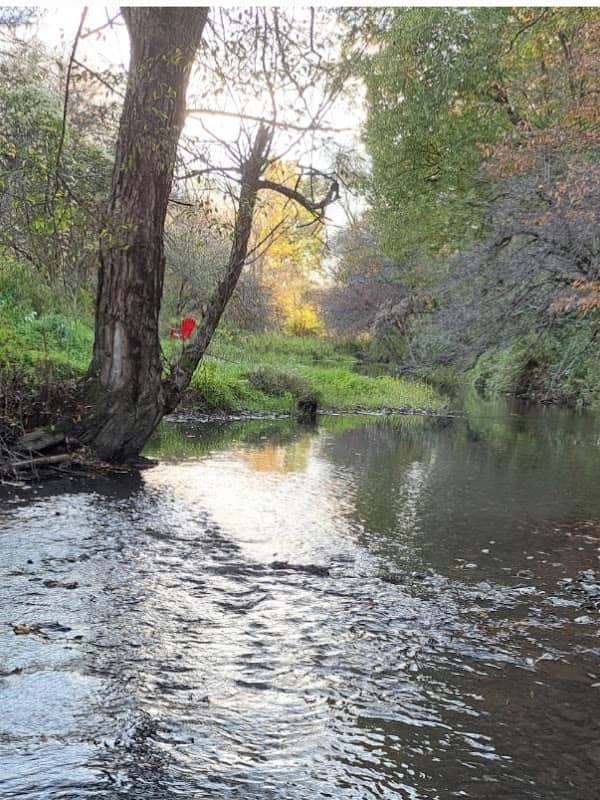 Wright's Creek - Image 1