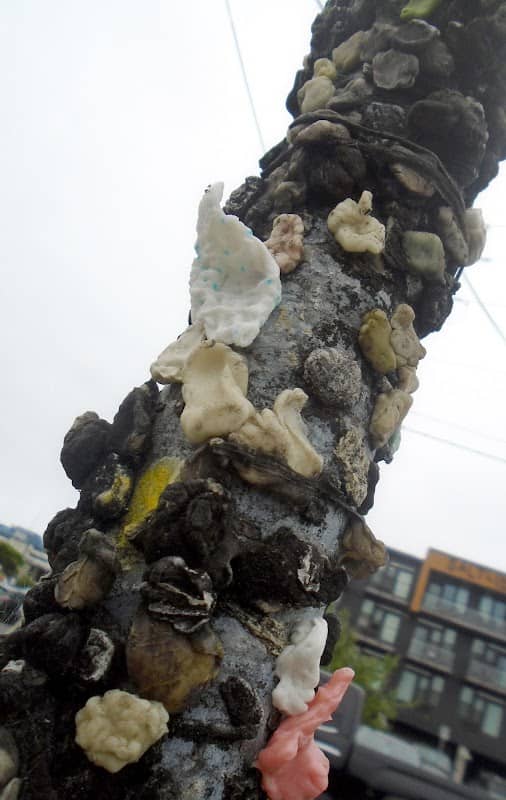 Seaside Gum Post - Image 1