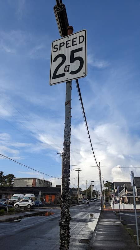 Seaside Gum Post - Image 2