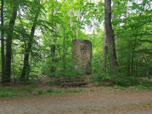 Lappwald - Image 1