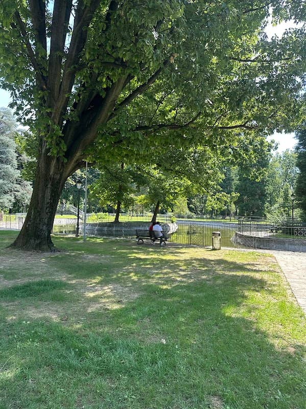 Skatepark - Image 1