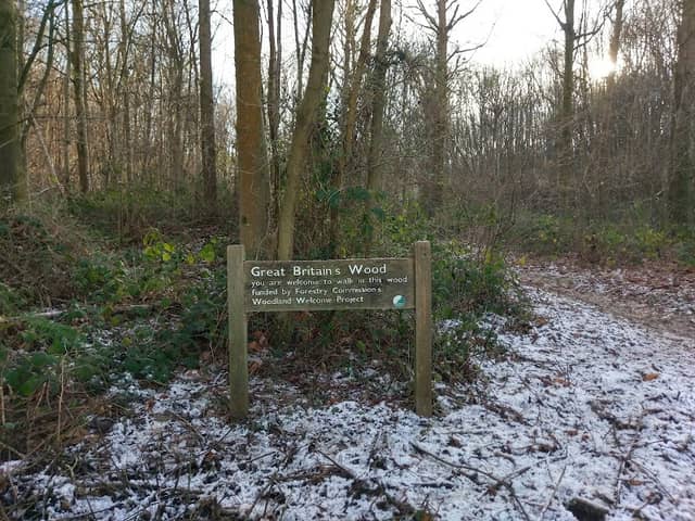 Great Britain’s Wood - Image 1