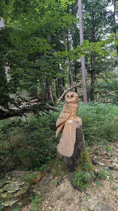 Kunstvolle Schnitzereien mitten im Wald - Image 1