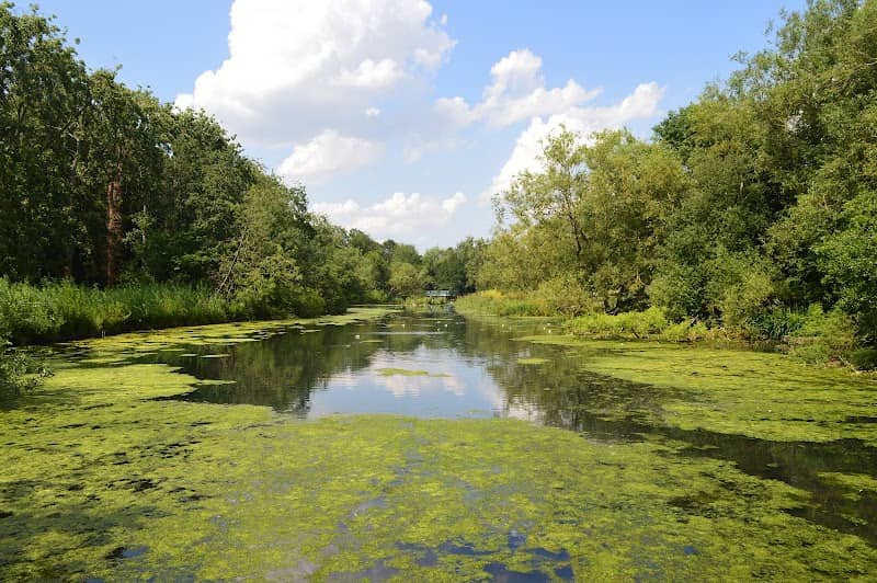 Cygnet Lake - Image 1