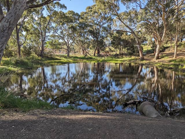 Glenthorne National Park — Ityamaiitpinna Yarta - Image 1