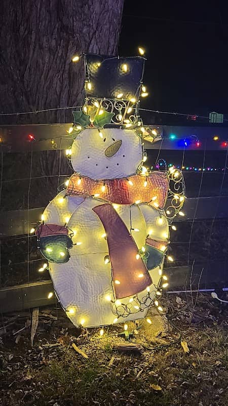 Longacre Family Christmas Lights - Image 3