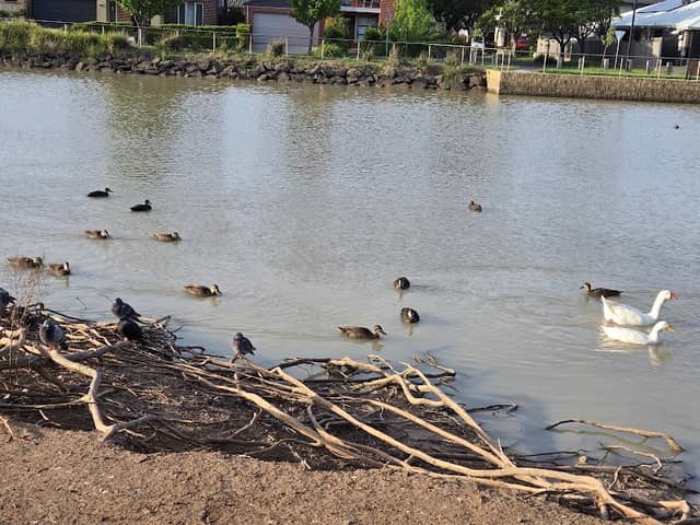 Wyndham Waters Park - Image 1