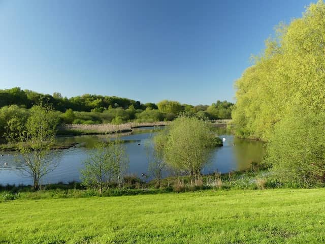 Mill Green and Hawks Green Valley Nature Reserve - Image 1