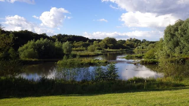 Mill Green and Hawks Green Valley Nature Reserve - Image 2