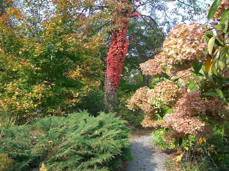 Botanical Garden-Institute FEB RAS - Image 1