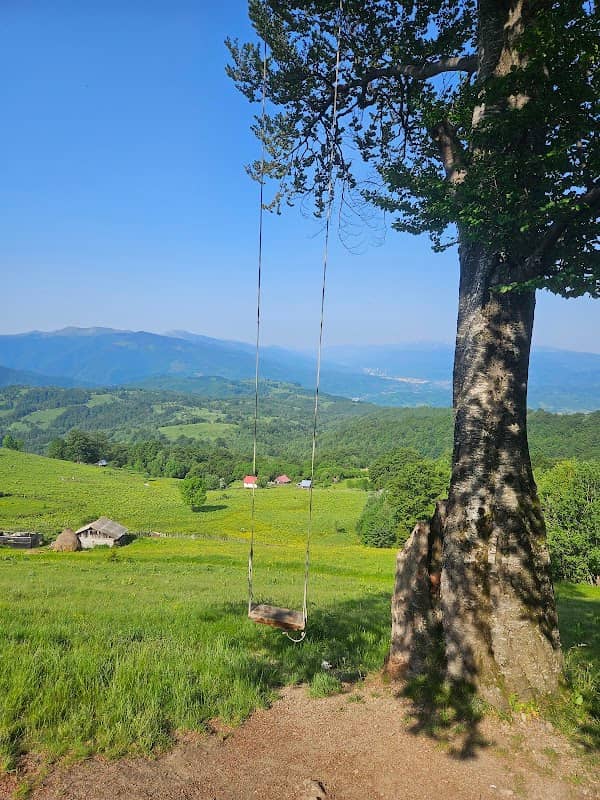 Leagan Parang - Image 1