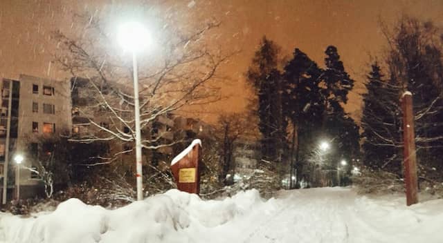 Paalukylänpuisto - Image 1