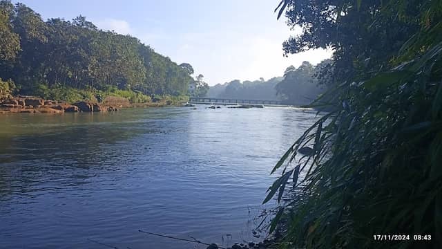Pazhayidom Check dam - Image 1