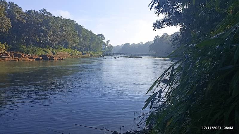 Pazhayidom Check dam - Image 1