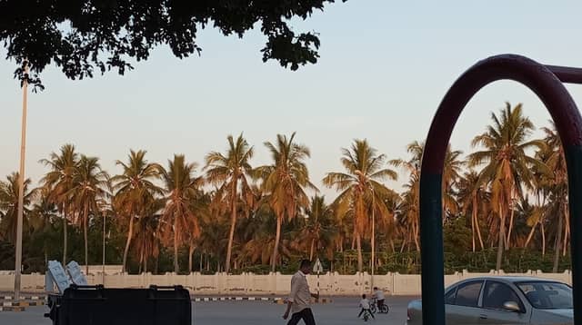 Alqoof park - Image 2