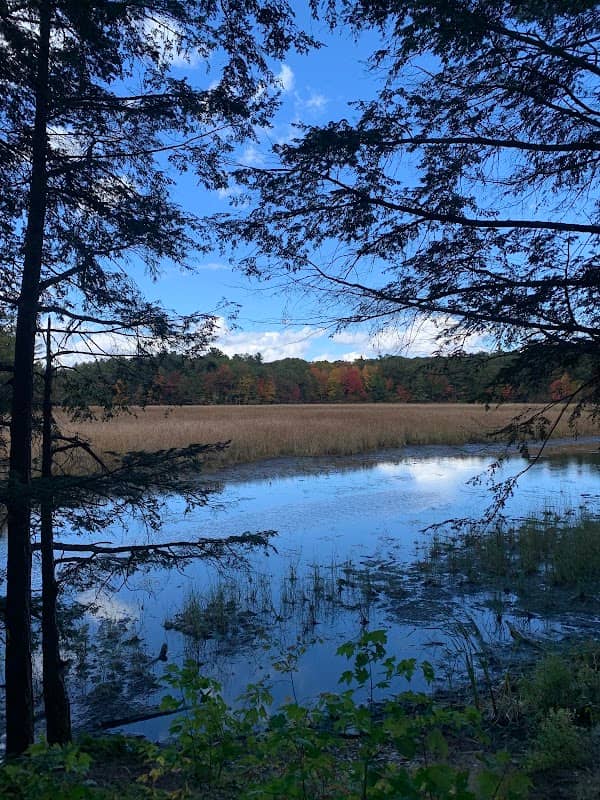 Lookout Turtle Loop - Image 1