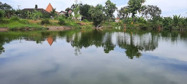 Waduk jatirowo lor - Image 1