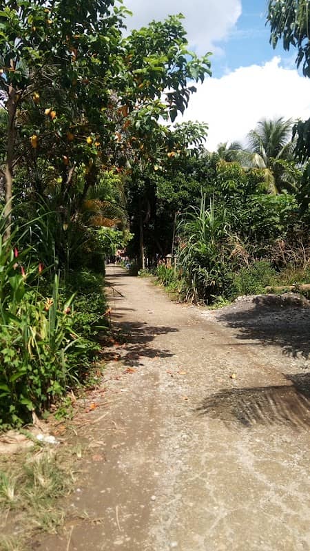 Papa Gio hutajulu homestay - Image 1
