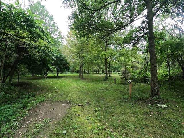 West Elgin Nature Reserve - Image 2