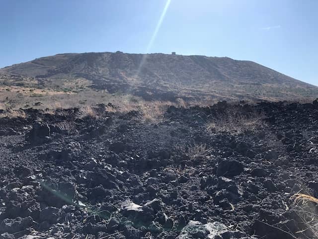 1986 Lava Flows (LA) Tip - Image 2