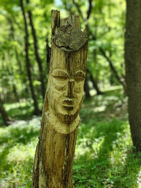 Tree sculpture - Image 3