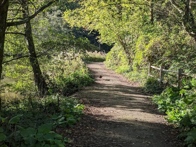 The Loder Valley Nature Reserve - Image 2