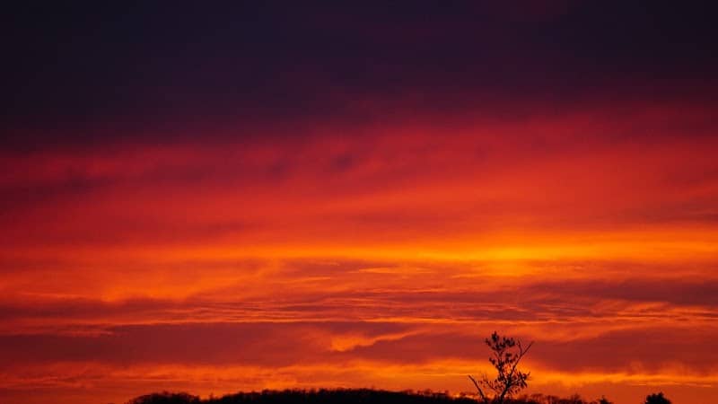 Walnut Hill Park - Image 1