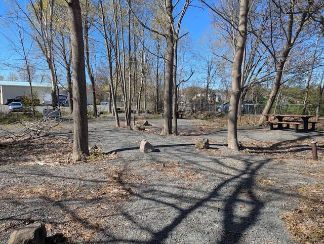 Drummer's Wood Picnic Park - Image 2