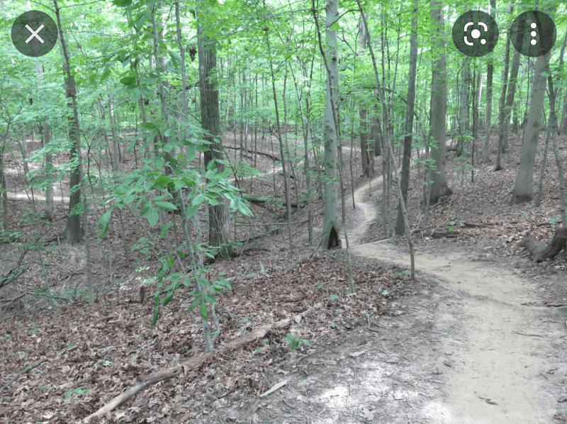 Pee Wee's Mountain Bike Trail - Image 1