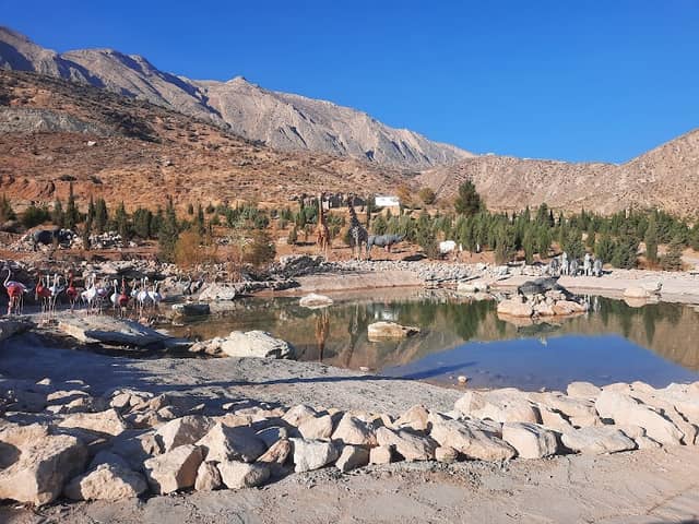 برکه حیوانات پارک دراک - Image 1