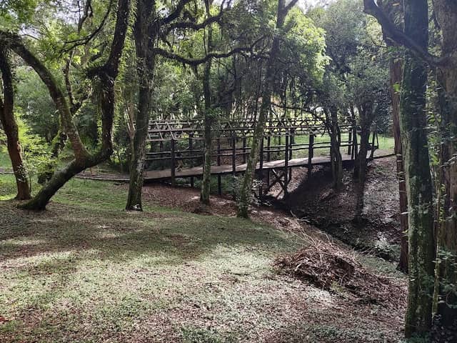 Bosque da Usina - Image 1