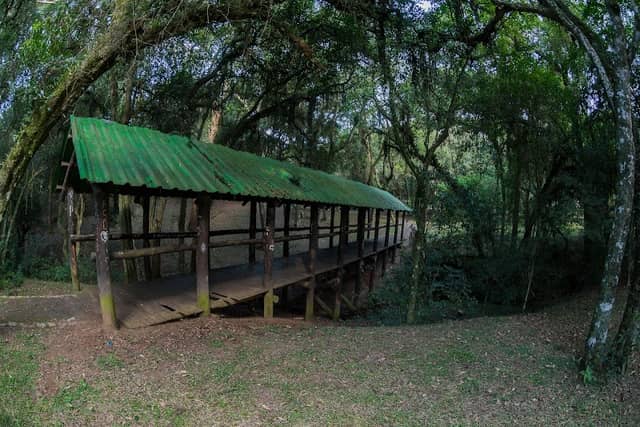 Bosque da Usina - Image 2