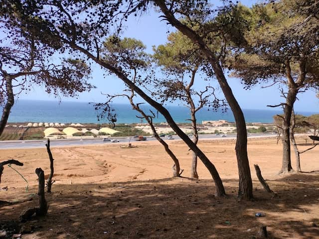 Plage guelta شاطئ الڨلتة - Image 1