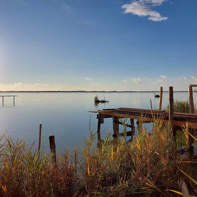 LIPU Massaciuccoli - Image 3