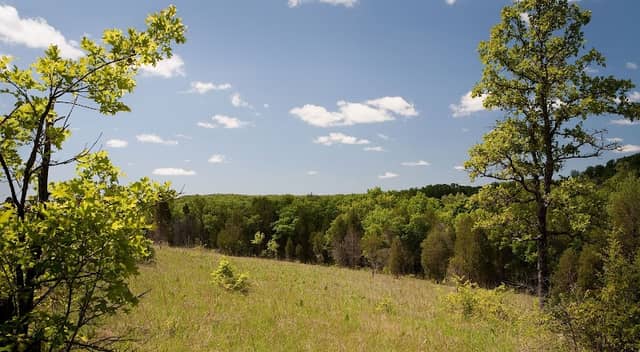 Victoria Glade - Image 1
