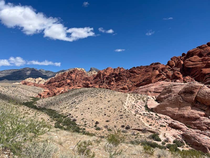 Red Rock Canyon NCA Scenic Drive Bureau of Land Management - Image 1