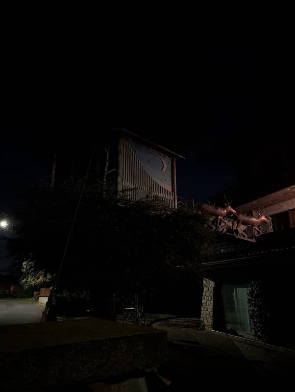 Casa sull'albero - Image 1