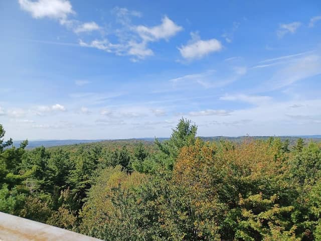 DAR Firetower - Image 1