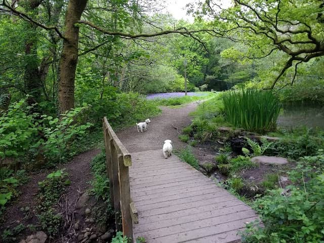 Sirhowy Valley Country Park - Image 2