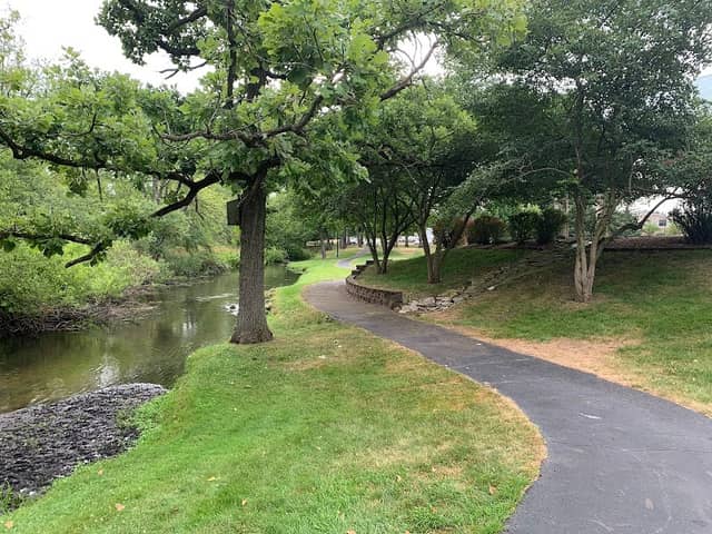 Central Park - Image 2