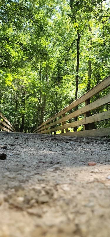 West Cadillac Trailhead - Image 2
