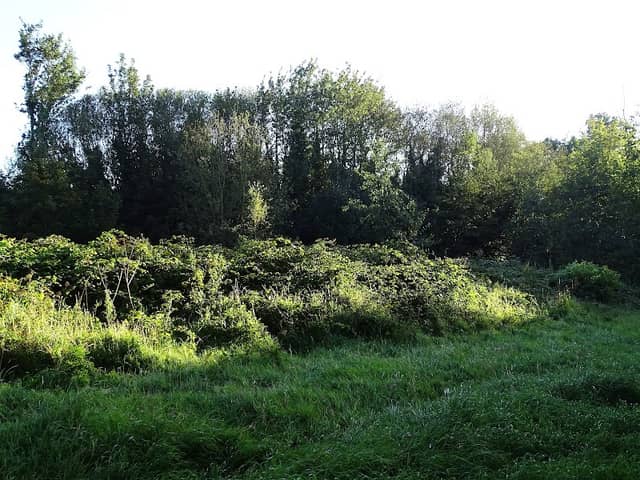 Ratoath Broadmeadow Riverwalk - Image 1