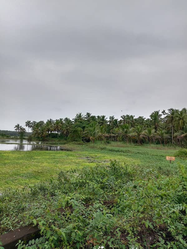 Venjali View Point - Image 1