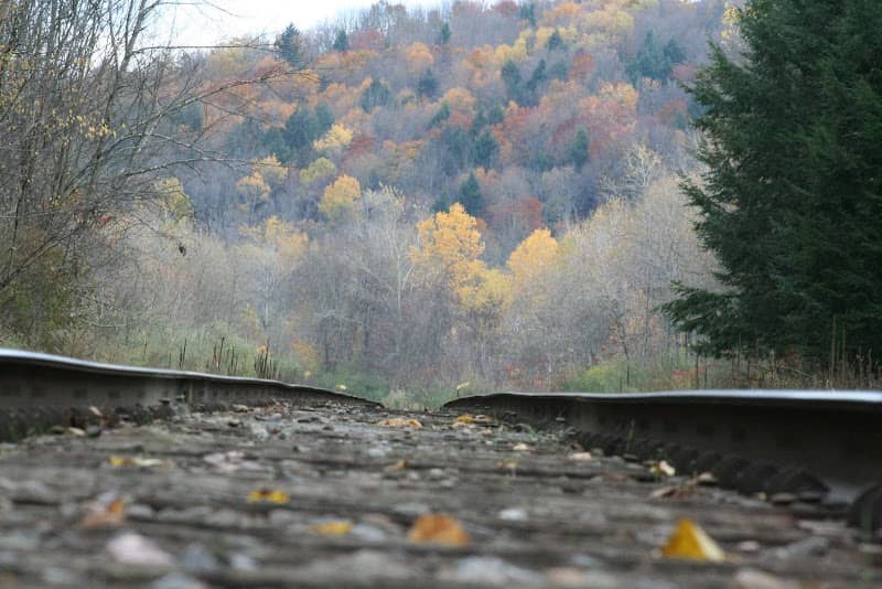 DL&W Railroad Factoryville Tunnels southeast end - Image 1