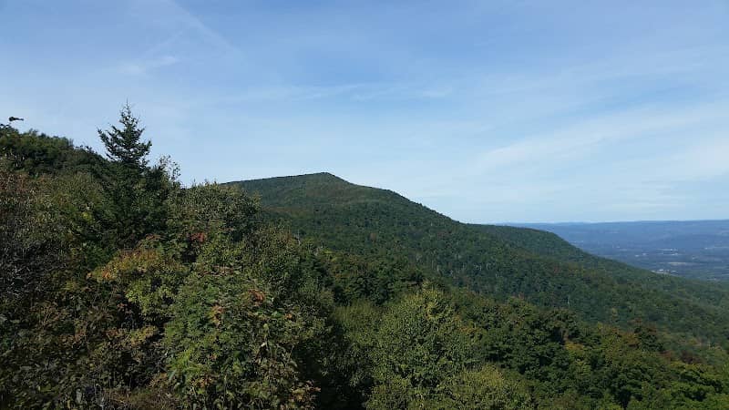 Border Windham/Blackhead - Image 1