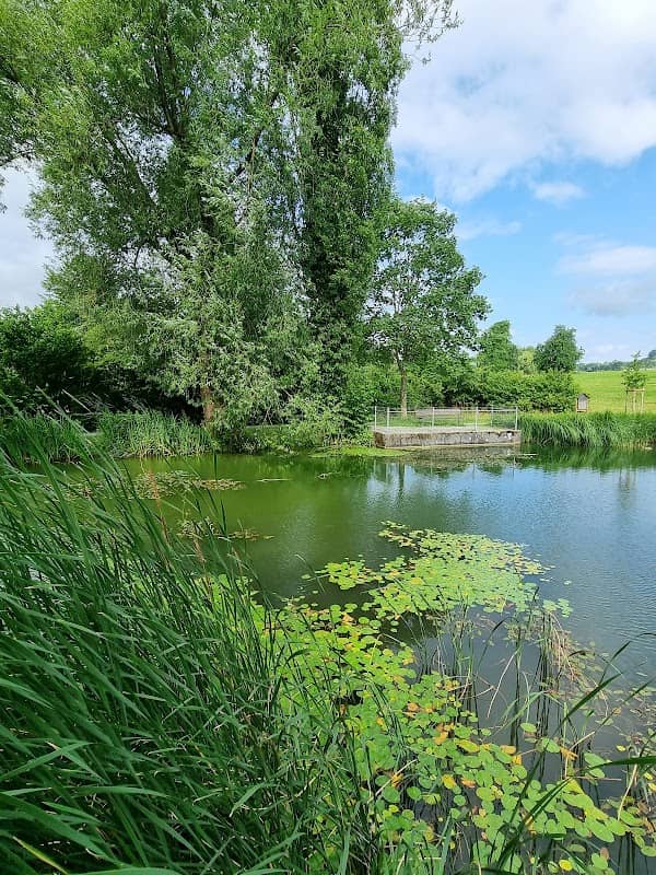 Mühliweiher - Image 1