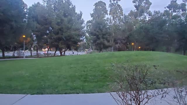 Knollcrest Butterfly Garden - Image 2
